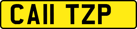 CA11TZP
