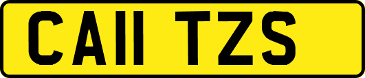 CA11TZS