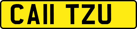 CA11TZU