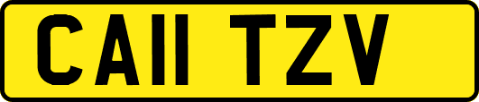 CA11TZV