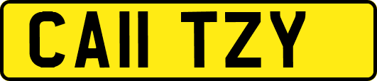 CA11TZY
