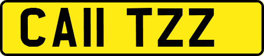 CA11TZZ