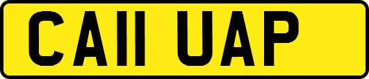 CA11UAP