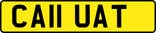 CA11UAT