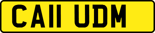 CA11UDM