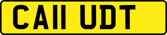 CA11UDT