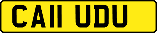 CA11UDU