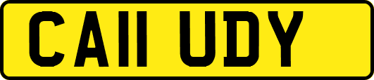 CA11UDY