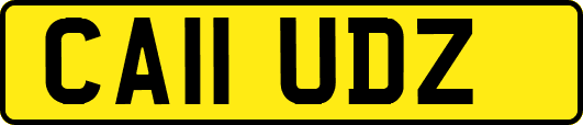 CA11UDZ