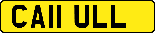 CA11ULL