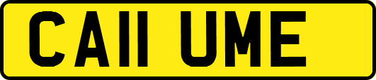 CA11UME