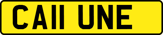 CA11UNE