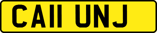 CA11UNJ