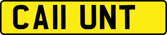 CA11UNT