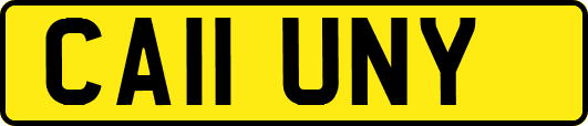 CA11UNY