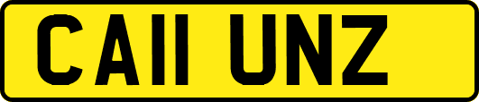 CA11UNZ