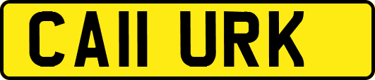 CA11URK