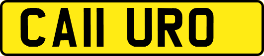 CA11URO