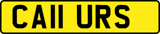 CA11URS