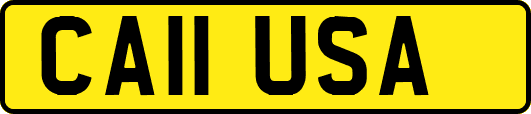 CA11USA