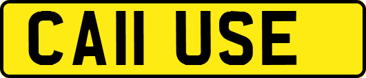 CA11USE