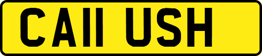 CA11USH