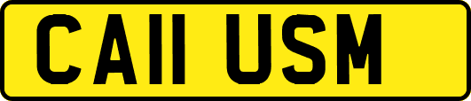 CA11USM