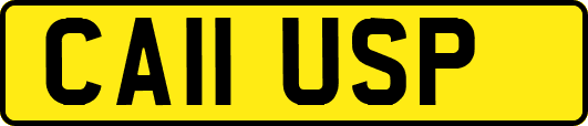 CA11USP