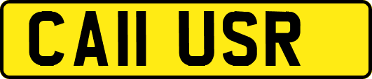 CA11USR