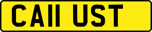 CA11UST