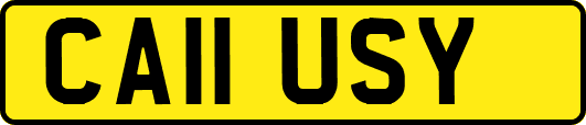 CA11USY