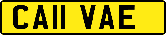 CA11VAE