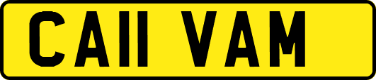CA11VAM