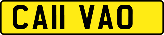 CA11VAO