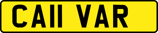 CA11VAR