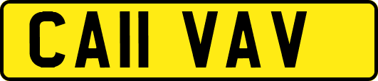 CA11VAV