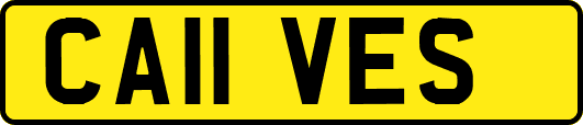 CA11VES