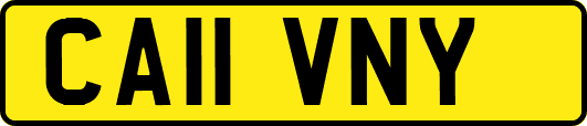 CA11VNY