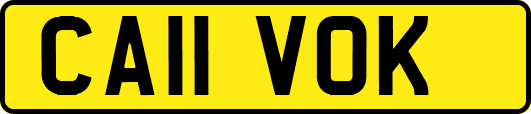 CA11VOK