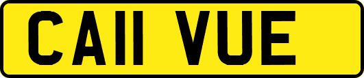CA11VUE