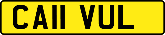 CA11VUL