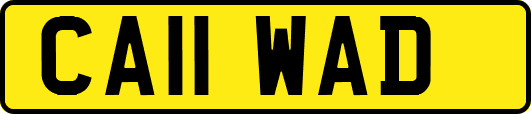 CA11WAD
