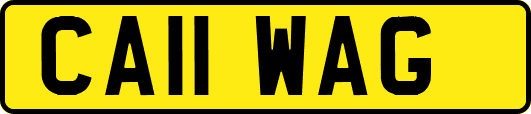 CA11WAG
