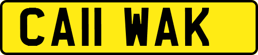 CA11WAK