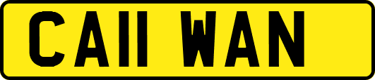 CA11WAN