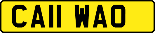 CA11WAO