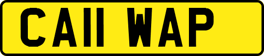 CA11WAP