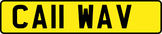 CA11WAV