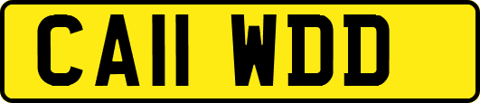 CA11WDD