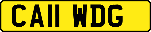 CA11WDG